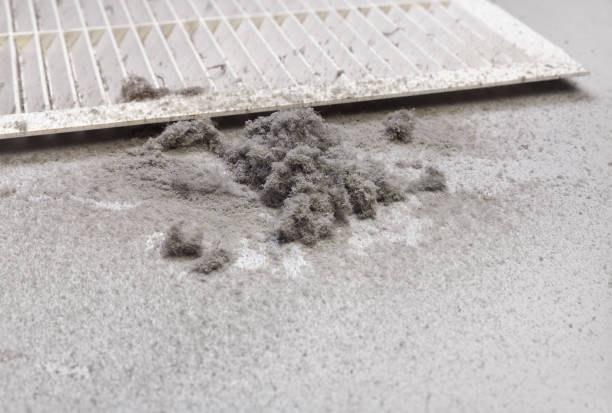 Best Air Duct Cleaning Company Near Me  in Dayton, OR