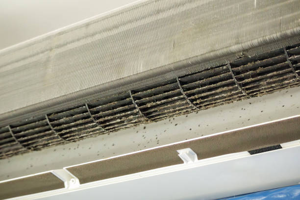 Best Ventilation Cleaning Services  in Dayton, OR